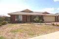 Property photo of 37 Harmony Drive Tarneit VIC 3029
