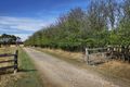Property photo of 114 Einsporns Road Ashbourne VIC 3442