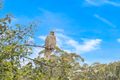 Property photo of 16/44-50 Landers Road Lane Cove North NSW 2066