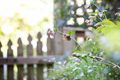Property photo of 2/27 Ascot Road Bowral NSW 2576