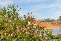 Property photo of 32 Bernedale Way Duncraig WA 6023