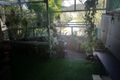 Property photo of 47/474 Terrigal Drive Terrigal NSW 2260
