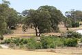 Property photo of 19 Cinnamon Meander Two Rocks WA 6037