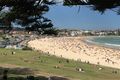 Property photo of 6/28 Lamrock Avenue Bondi Beach NSW 2026