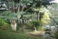Property photo of 41 Henry Lawson Drive Terranora NSW 2486