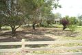 Property photo of 204 Braefarm Road Moonbi NSW 2353