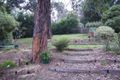 Property photo of 44 Caroline Avenue Cockatoo VIC 3781