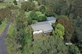 Property photo of 6 Lower Thomas Street Howard QLD 4659