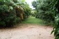 Property photo of 1-3 Barrine Road Yungaburra QLD 4884