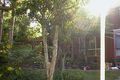 Property photo of 6 Mayes Place Ormeau QLD 4208