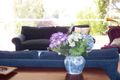 Property photo of 46 Roebuck Street Red Hill ACT 2603
