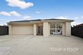 Property photo of 19 College Avenue Valley View SA 5093