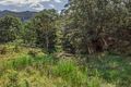 Property photo of 25 Vidmar Court Clagiraba QLD 4211