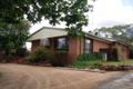 Property photo of 13 Apollo Avenue Warialda NSW 2402