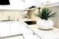 Property photo of 47/172 Barrier Reef Drive Mermaid Waters QLD 4218