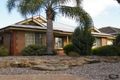 Property photo of 8 Roy Road Paradise SA 5075
