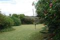 Property photo of 55 Iliffe Street Bexley NSW 2207