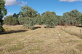 Property photo of 1 Short Street Dunolly VIC 3472