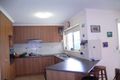 Property photo of 24 Privett Place Lavington NSW 2641