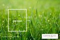 Property photo of 222 Forest Red Gum Drive Mickleham VIC 3064
