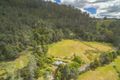 Property photo of 27742 Tasman Highway Pyengana TAS 7216