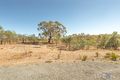 Property photo of 20 McEnally Place Wamboin NSW 2620