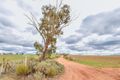 Property photo of 1074 Piggott Road Booleroo Centre SA 5482