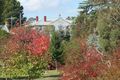 Property photo of 3 Duke Street Avoca VIC 3467