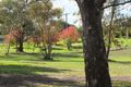 Property photo of 3 Duke Street Avoca VIC 3467