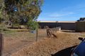 Property photo of 604 Williams Road Korunye SA 5502
