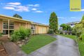 Property photo of 52 Windermere Avenue Northmead NSW 2152