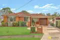 Property photo of 25 Nairobi Place Toongabbie NSW 2146