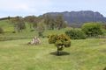 Property photo of 121 Lockwoods Road Sheffield TAS 7306