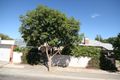 Property photo of 18 Barwell Avenue Kurralta Park SA 5037