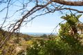 Property photo of 4 Dareen Street Beacon Hill NSW 2100