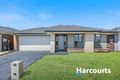 Property photo of 19 Kingscliff Avenue Clyde VIC 3978