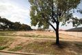 Property photo of 39 Murchison Street Mansfield Park SA 5012