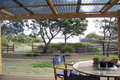 Property photo of 6 Swanwick Drive Coles Bay TAS 7215