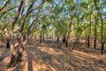 Property photo of 165 Bastin Road Howard Springs NT 0835