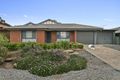 Property photo of 8 Mitchell Drive Evanston Park SA 5116