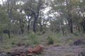 Property photo of 222 Holstein Loop Lower Chittering WA 6084