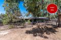 Property photo of 314 Adelaide Road Murray Bridge SA 5253