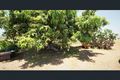 Property photo of 238 Doyles Road Balnagowan QLD 4740