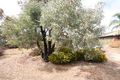 Property photo of 1 Tolcairn Crescent Flagstaff Hill SA 5159