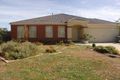 Property photo of 20 Carboni Crescent Lynbrook VIC 3975