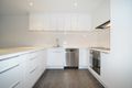 Property photo of 19A Cambridge Street North Adelaide SA 5006