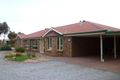 Property photo of 31 Barkley Drive Gawler Belt SA 5118