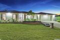 Property photo of 8 Monarch Avenue Upper Coomera QLD 4209