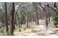 Property photo of 295 North Mountain Road Heathcote Junction VIC 3758