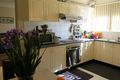Property photo of 9/66 Second Avenue Campsie NSW 2194